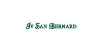 Iv San Bernard