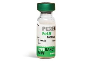 Пуревакс FeLV (Purevax FeLV) вакцина для кошек, 1 фл. (1 доза)