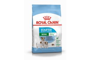 Royal Canin Mini Starter Mother & Babydog, Сухой корм для собак мелких размеров (весом до 10 кг) в конце беременности и в период лактации, а также для щенков в период отъема от матери и до 2-х месячного возраста,1 кг