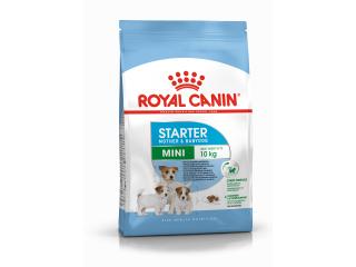 Royal Canin Mini Starter Mother & Babydog, Сухой корм для собак мелких размеров (весом до 10 кг) в конце беременности и в период лактации, а также для щенков в период отъема от матери и до 2-х месячного возраста,1 кг