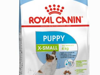 Royal Canin X-Small Puppy, Сухой корм для щенков очень мелких собак, 1,5 кг