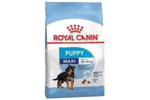 Royal Canin Maxi Puppy, Сухой корм для щенков пород крупных размеров (вес взрослой собаки от 26 до 44 кг) в возрасте до 15 месяцев, 3 кг