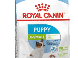 Royal Canin X-Small Puppy 
Сухой корм полнорационный для щенков очень мелких собак (вес взрослой собаки до 4 кг) в возрасте до 10 месяцев