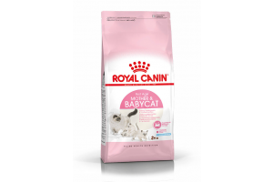 Royal Canin Mother & Babycat Сухой корм для беременных и кормящих кошек, а также для котят во время первой фазы роста (в возрасте от 1 до 4 месяцев) и в период отъёма, 400г