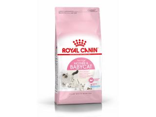 Royal Canin Mother & Babycat Сухой корм для беременных и кормящих кошек, а также для котят во время первой фазы роста (в возрасте от 1 до 4 месяцев) и в период отъёма, 400г