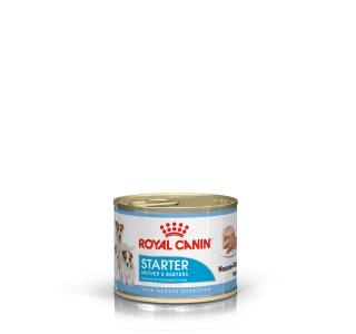 Royal Canin Starter Mousse Dog Can (Влажный корм в паштете) для беременных и кормящих собак, а также щенков до 2-х месячного возраста - 195 гр