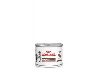 Royal Canin Recovery (мусс) Консервированный диетический корм для взрослых кошек, в период выздоровления или при липидозе печени у кошек, 195г