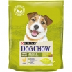 Dog Chow Small Breed Adult (Сухой корм для взрослых собак мелких пород) с курицей, 800 гр