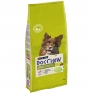 Dog Chow Adult (Сухой корм для взрослых собак) с ягненком, 500 г (весовой)