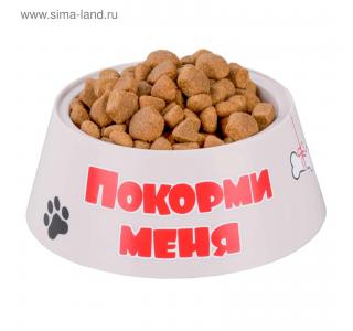 Миска "Дружок", 0,7 л