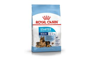 Royal Canin Maxi Starter Mother & Babydog, Сухой корм для собак крупных размеров (весом от 26 до 44 кг) в конце беременности и в период лактации, а также для щенков в период отъема от матери и до 2-х месячного возраста, 4 кг