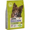 Dog Chow Adult (Сухой корм для взрослых собак) с ягненком, 2,5 кг