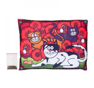 Матрас БУГИ-ВУГИ 40х30 см с валерианой