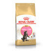 Royal Canin Maine Coon Kitten Сухой корм для котят породы Мэйн Кун (в возрасте до 15 месяцев), 400г