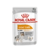 Royal Canin Coat Care (в паштете) Пауч для взрослых собак с тусклой и сухой шерстью, 85гр.