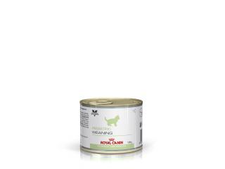 Royal Canin Pediatric Weaning (паштет) Консервированный корм для котят с периода отнятия от матери до 4 месяцев, беременных и лактирующих кошек, 195г