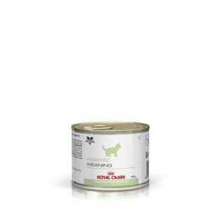 Royal Canin Pediatric Weaning (паштет) Консервированный корм для котят с периода отнятия от матери до 4 месяцев, беременных и лактирующих кошек, 195г