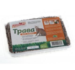 КОТЁНОК Трава для кошек в лотке