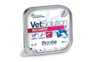 Monge VetSolution Dog Recovery Рекавери Диетический корм для собак при восстановлении питания в период выздоровления 150 г