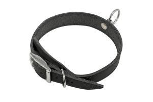 Zoo One ошейник из натуральной кожи для собак , 18 мм*20-31 см, пряжка 12 мм литая НИКЕЛЬ, (ЧЁРНЫЙ)