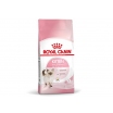 Royal Canin Корм сухой сбалансированный для котят в период второй фазы роста до 12 месяцев, 1,2кг