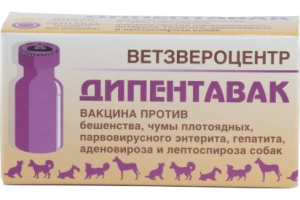 Вакцина Дипентавак, 1 доза