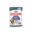 Royal Canin Appetite Control Care Корм консервированный для взрослых кошек в желе, 85г
