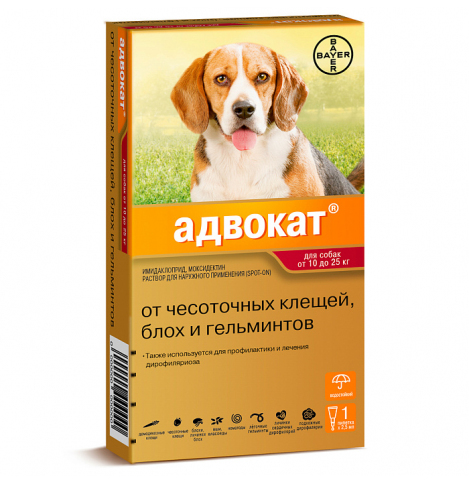 Адвокат 250 Капли для собак от 10 до 25 кг, 1 пипетка